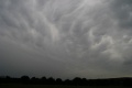 Eifelmammatus0507 034a.jpg